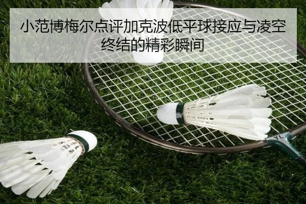 小范博梅尔点评加克波低平球接应与凌空终结的精彩瞬间